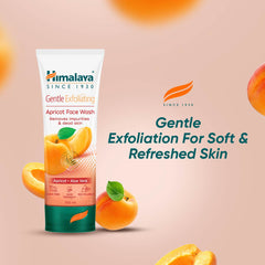 Himalaya Gentle Exfoliating Apricot Face Wash, Removes Blackheads - 100ml
