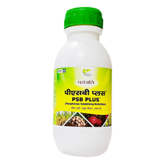 Patanjali Psb, with Phosphate Solubilizing Liquid Bio Fertilizer Based, 500ml Pack Of 1