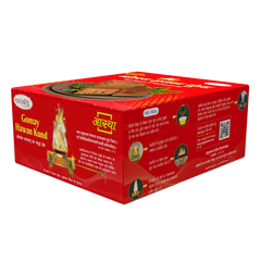 Patanjali Aastha Gomay Hawan Kund, 900gm, Pack Of 1