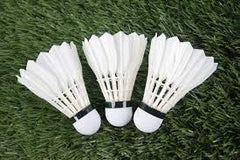 Tima Baleno Badminton Feather Shuttlecock , For Practice Sessions And Tournaments | White , Pack Of 10