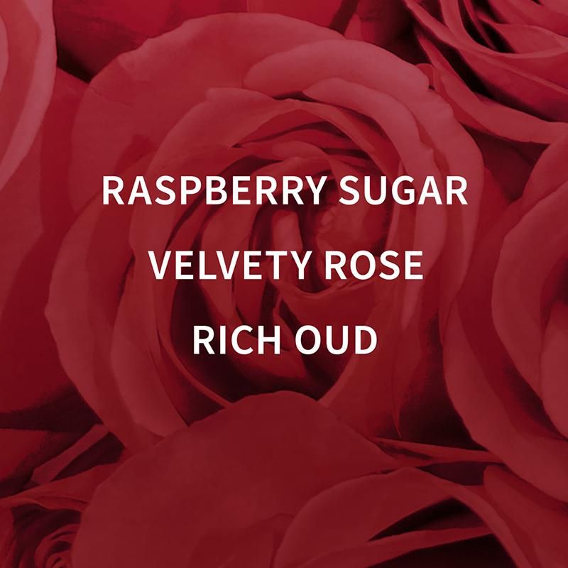 BATH & BODY WORKS DARK VELVET OUD FINE FRAGRANCE MIST 236ML 8 FL.OZ. BATH & BODY WORKS DARK VELVET OUD FINE FRAGRANCE MIST 236ML 8 FL.OZ.