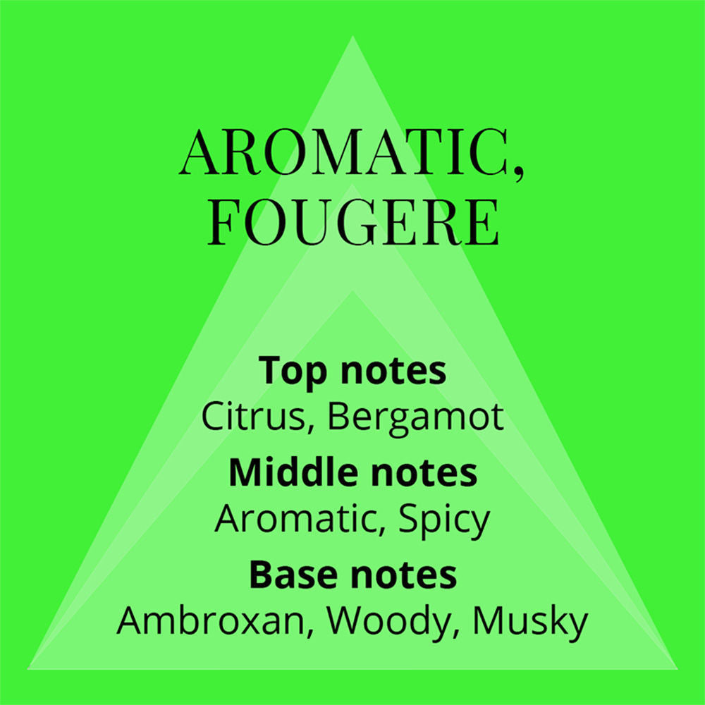 COLOUR ME VOLT HOMME EAU DE PARFUM 50ML 1.7 FL.OZ. MEN FRAGRANCE | LONG LASTING COLOUR ME VOLT HOMME EAU DE PARFUM 50ML 1.7 FL.OZ. MEN FRAGRANCE | LONG LASTING