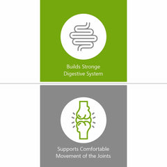 Jain Guduchi Stem Powder 100% Pure, Vegan & Paraben Free, Strengthens The Tissues, Bolsters Immunity & Promotes Vitality | 100gm 0.2lbs Each Pack Of 2