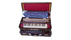 Harmonium Musical Instrument With Coupler - 9 Scale Changer, Total 37 Keys, 3 Set Of Palitana Reeds (Bass, Male & Female), 3.75 Octave