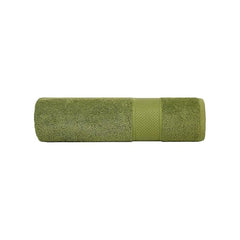 Hanorix 100% Cotton Large Size Bath Towel 900 Gsm | Soft Bath Towel For Men & Women Ultra Absorbent Cotton Towel Soft & Absorbent Towel (Green) - Pack Of 2
