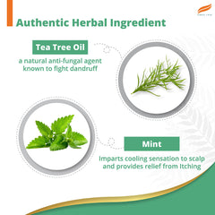 Himalaya Anti-Dandruff Cooling Mint Shampoo, 100% Free From Dandruff & Itching | 340ml