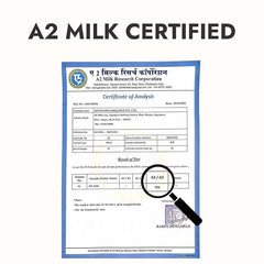 Premium A2 Gir Cow Desi Ghee By Kapiva | Rich In Nutrients Calcium & Iron Pure Healthy Desi Cow Ghee Good For Heart Health | (500ml) 16.9 Ounce | Jar Pack