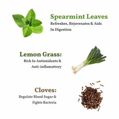 San-Cha Floral & Spicy Spearmint Herbal Tea - 25 Biodegradable Herbal Tea Bags | Herbal Tea For PCOS & PCOD - Eases Stomach Pain & Bloating | Caffeine Free