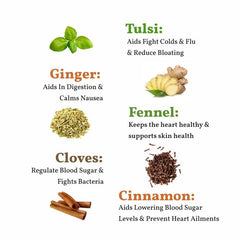 San-Cha Ayurveda Detox Tulsi Cinnamon Ginger Herbal Tea - 25 Biodegradable Pyramid Tea Bags | Boosts Immunity, Fights Bacteria - Caffeine Free