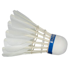 Triumph Titan 200 i Feather Badminton Shuttlecocks | White , Pack Of 10 Titan 200 i Feather Badminton Shuttlecocks | White , Pack Of 10