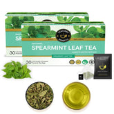 Teacurry Plant Based Spearmint Leaf Tea Bag - Pack Of 2 X 60gm, 2.1 Ounce Each, 60 Pyramid Tea Bags | Helps With Hormonal Imbalance, Facial Hair & PCOS - Caffeine Free, Gluten Free
