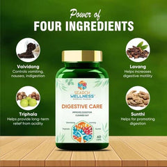Search Wellness Digestive Care Natural & Herbal Capsules For Better Digestive Function & Healthy Gut, Healthy Digestion & Boost Immunity | 60 Capsules, 100gm 0.2lbs Each Pack Of 3