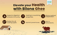 Pure Organic A2 Desi Cow Ghee By Natureland Organics | Delicious & Nutritious Healthy Desi Cow Ghee Good For Boost Immunity | (500ml) 16.9 Ounce | Jar Pack