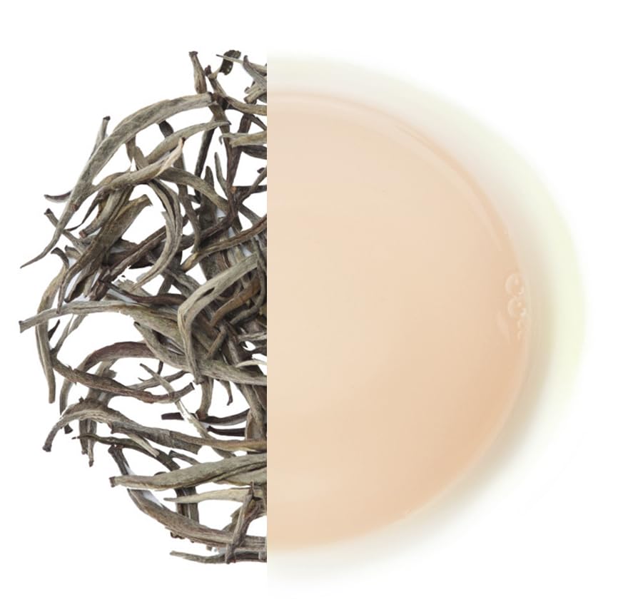 Glenburn Silver Needle White Tea - 50gm Tin, 1.7 Ounce | Rich Ethereal Flavor Premium Loose Leaf - Prized Clonal Shoots | Fine Indian Tea Glenburn Silver Needle White Tea - 50gm Tin, 1.7 Ounce | Rich Ethereal Flavor Premium Loose Leaf - Prized Clonal Shoots | Fine Indian Tea