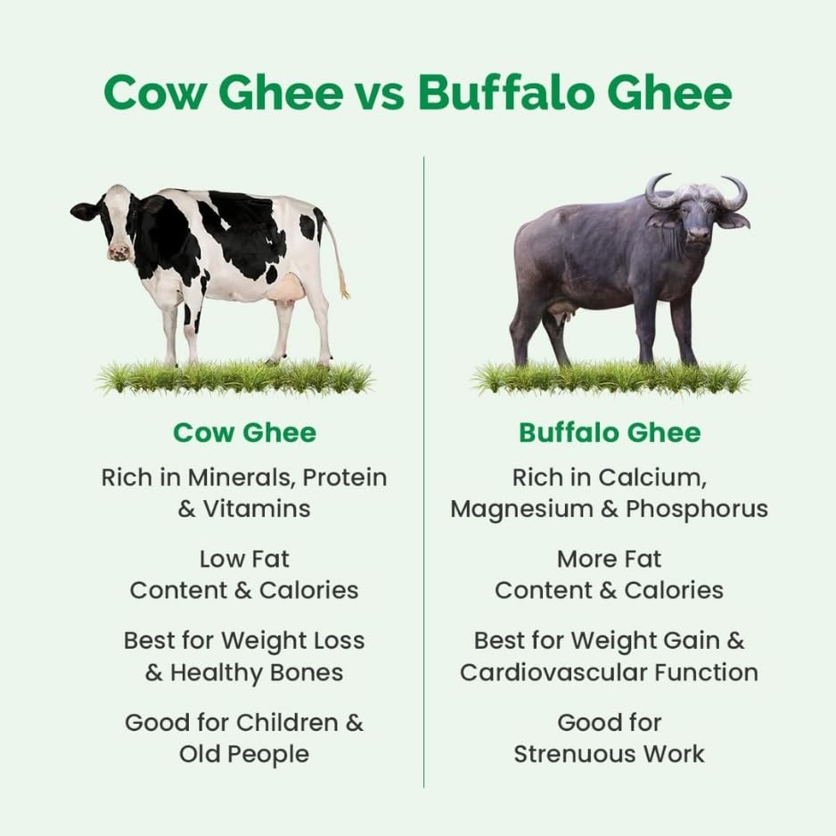 Organic Buffalo Desi Ghee By Geeta Swachh | Natural & Healthy Curd-Churned Desi Ghee Good For Sweets | (5 Litre) 169.0 Ounce | Jar Pack Organic Buffalo Desi Ghee By Geeta Swachh | Natural & Healthy Curd-Churned Desi Ghee Good For Sweets | (5 Litre) 169.0 Ounce | Jar Pack