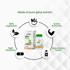 Kudos Giloy Tablets, Improves Immunity Enhances The Activity Of White Blood Cells | 60 Tablets 100gm 0.2lbs