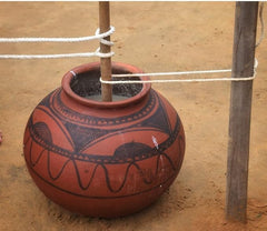 100% Natural A2 Desi Cow Ghee By Kasutam | High In Vitamins, Minerals Healthy Desi Cow Ghee Perfect For Immunity Booster | (5 Litre) 169.0 Ounce | Steel Jar Pack