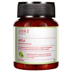 Jiva Amla Tablets 500mg 100% Ayurvedic Tablets, Rich In Vitamin C | 60 Tablets 100gm 0.2lbs