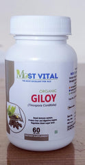 Most Vital Organic Giloy Tinospora Cordifolia 750mg, Help Stimulate The Immune System, Increasing Its Ability To Fight Off Infections & Diseases | 60 Tablets 100gm 0.2lbs