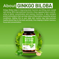 Vitawin Ginkgo Biloba For Brain Tonic, Herbal Nutrition Supplement, Natural, Helps To Improve Memory, Focus & Concentration | 60 Veg Capsules 100gm 0.2lbs