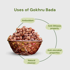 Dayakishan Gokhru Bada, Gokshura Big, Gokharu Bada Whole, Raw Pedalium Murex, Sabut Gokhru Bada, Tribulus Terrestris, Gokhru Seeds, Large Caltrops, Palleru, Nerunjil | 900gm 1.9lbs
