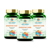 Search Wellness Digestive Care Natural & Herbal Capsules For Better Digestive Function & Healthy Gut, Healthy Digestion & Boost Immunity | 60 Capsules, 100gm 0.2lbs Each Pack Of 3
