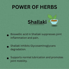 Morning Comes Shallaki 500mg Pure Boswellia Serrata Extract For Joint Health, Arthritis & Flexibility Support, Herbal Anti-Inflammatory Supplement For Potential Relief | 90 Tablets 150gm 0.3lbs