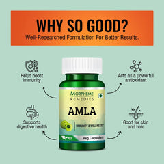 Morpheme Remedies Amla 500mg, Detoxifies And Rejuvenates The Digestive System | 60 Veg Capsules 100gm 0.2lbs