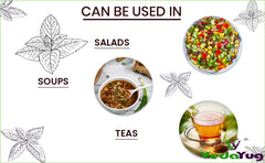 VedaYug Nettle Leaf Tea - 100gm, 3.5 Ounce | Treats Painful Muscles, Rich Aroma & Flavor - No Preservatives, No Additives