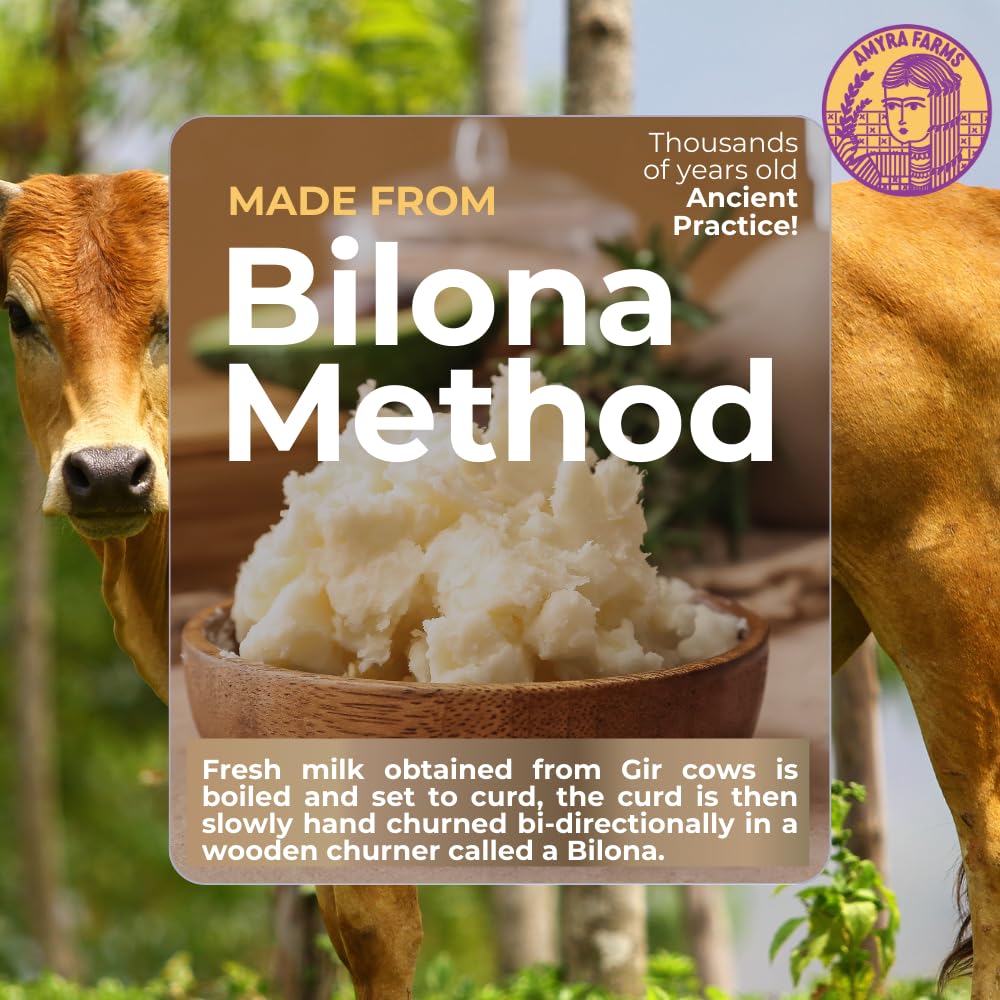 Organic A2 Cow Desi Ghee By Amyra Farms | Nutrient Rich Natural & Healthy Handcrafted Bilona Ghee Good For Cooking | (500ml) 16.9 Ounce | Jar Pack Organic A2 Cow Desi Ghee By Amyra Farms | Nutrient Rich Natural & Healthy Handcrafted Bilona Ghee Good For Cooking | (500ml) 16.9 Ounce | Jar Pack
