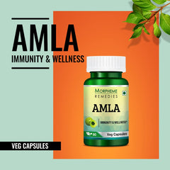 Morpheme Remedies Amla 500mg, Detoxifies And Rejuvenates The Digestive System | 60 Veg Capsules 100gm 0.2lbs