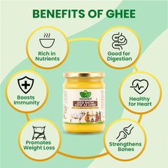 Pure Organic A2 Desi Rathi Cow Ghee By Organicbite | High In Protein Fiber Healthy Desi Ghee Good For Digestive Health | (500ml) 16.9 Ounce | Jar Pack
