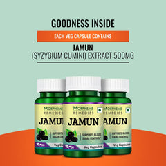 Morpheme Remedies Jamun 500mg, Control Sugar & Powerful Source Of Antioxidants | 60 Veg Capsules 100gm 0.2lbs