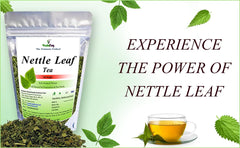 VedaYug Nettle Leaf Tea - 50gm, 1.7 Ounce | Treats Painful Muscles, Rich Aroma & Flavor - No Preservatives, No Additives