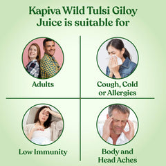 Kapiva Wild Tulsi Giloy Juice Fresh Tulsi & Neem - Grown Giloy To Support Immune Health, Helps Us Keep Allergies Like Runny Nose & Sneezing | 1 Litre 2.2lbs Each Pack Of 2