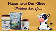 Premium Desi Ghee By Nageshwar | Rich In Protein Fiber Healthy Desi Ghee Good For Body Strength | (1 Litr) 33.8 Ounce | Jar Pack