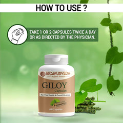 Bioayurveda Giloy Capsule Strengthens Immunity Wellness, Guduchi, Help In Boosting Immunity & Helps Enhancing Overall Immune Function | 60 Capsules 100gm 0.2lbs