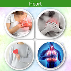 Natural And Herbal Products Guduchi Churna, Giloy Powder Organic, Hair Growth, Drinking, Juice, Edible, Skin, Face, Churna, Pure, Immunity, Tinospora Cordifolia, Gulvel, Amrita | 100gm 0.2lbs