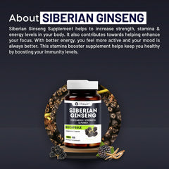 Vitawin Siberian Ginseng For Improve Immunity & Boost Energy, Stamina & Strength, Natural Herbal, 500mg, Nutrition Supplement | 60 Veg Capsules 100gm 0.2lbs