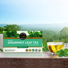 Teacurry Plant Based Spearmint Leaf Tea Bag - Pack Of 4 X 60gm, 2.1 Ounce Each, 120 Pyramid Tea Bags | Helps With Hormonal Imbalance, Facial Hair & PCOS - Caffeine Free, Gluten Free