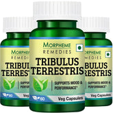Morpheme Remedies Tribulus Terrestris 500mg, Helps Provide Energy & Stamina | 60 Veg Capsules 100gm 0.2lbs Each Pack Of 3