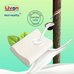 Latex Contour Pillow, Organic Pure Natural Pillow, White, Size - 60 X 40 X 10 Cm | 65 Density, Breathable, Hypoallergenic, Neck Support, Cooling, Latex Contour Pillow By Livon Comforts