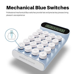 Mechanical Switch Calculator, Handheld For Daily And Basic Office,10 Digit Large LCD Display (Blue)