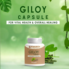 Bioayurveda Giloy Capsule Strengthens Immunity Wellness, Guduchi, Help In Boosting Immunity & Helps Enhancing Overall Immune Function | 30 Capsules 50gm 0.1lbs
