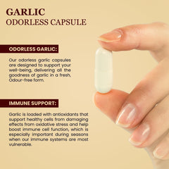 Pchpl Wellness Lahsun Capsules, Immune Support & Heart Health Supplement, Manage Blood Pressure, Cholesterol & Lowers Plasma Lipid Levels | 30 Pure Garlic Capsules 50gm 0.1lbs