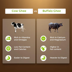 100% Natural Bilona Gir A2 Desi Ghee By First Bud Organics | Good Source Of Vitamin & Minerals Healthy Pure Desi Ghee Perfect For Halwa | (500ml) 16.9 Ounce | Jar Pack