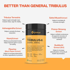 Myfitfuel Tribulus Terrestris +6 Herbs 2000mg Gokshura 50% Saponins, Ginseng, Kaunj, Safed Musli, Ashwagandha, Guduchi & Piperine 95% For Performance, Muscle & Energy | 60 Tablets 100gm 0.2lbs