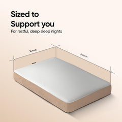 Sleep Plus Memory Foam Pillow, Ergonomic Support For Back, Side Sleepers, White | Durable, Hypoallergenic & Breathable Cool Pillow | For Everyday Use & Neck, Shoulder Pain | Washable Cover