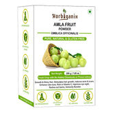Horbiganix Amla Fruit Powder For Hair Growth & Eating Indian Gooseberry, Vitamin C Rich, Healthy Hair, Immunity Boosters | For Men & Women, 200gm 0.4lbs