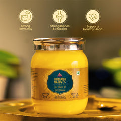 100% Natural A2 Gir Bilona Cow Ghee By Himalayan Natives | Highly & Nutritious Traditional Bilona Method Cow Ghee For Muscles Growth | (500ml) 16.9 Ounce | Jar Pack